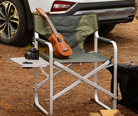 Metal Folding Director's Chair